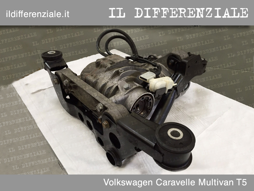 Revisione differenziale Volkswagen Caravelle Multivan T5 Differenziale Volkswagen Caravelle Multivan T5