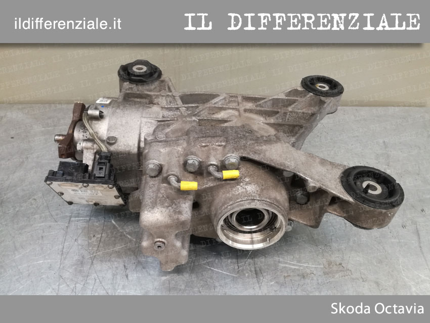 Differenziale posteriore Skoda Octavia 4x4 - Revisionato Differenziale posteriore Skoda Octavia 4x4