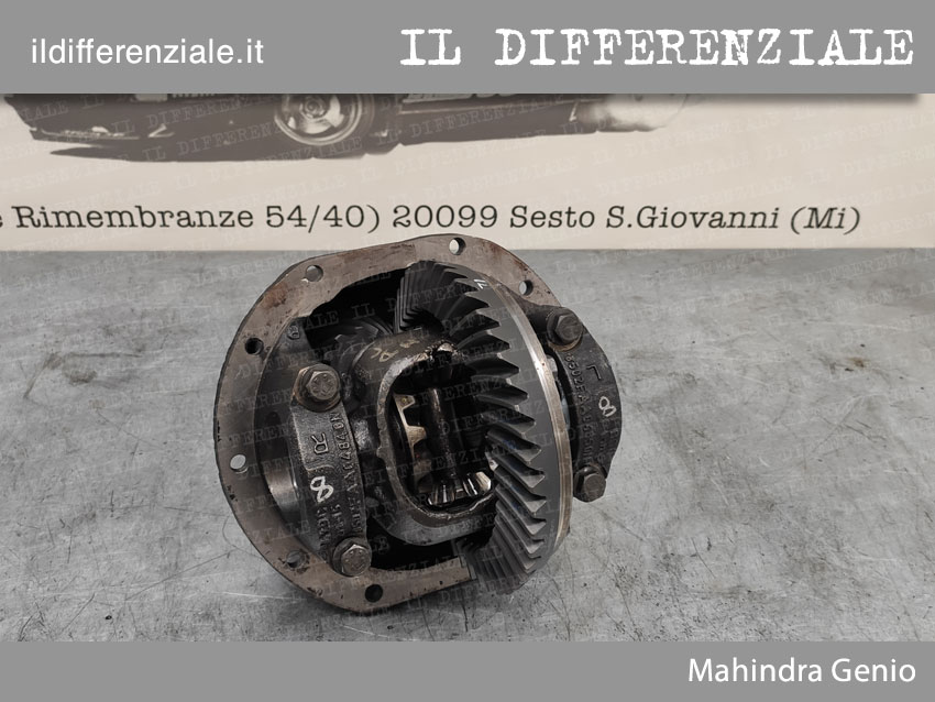 Differenziale posteriore Mahindra Genio