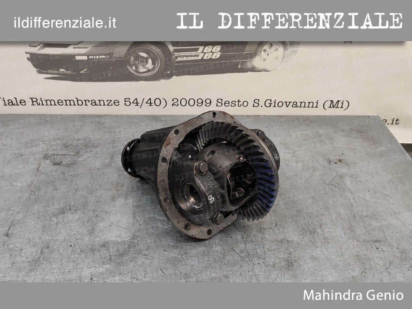 Differenziale Differenziale Mahindra Genio - pari al nuovo Differenziale Mahindra Genio