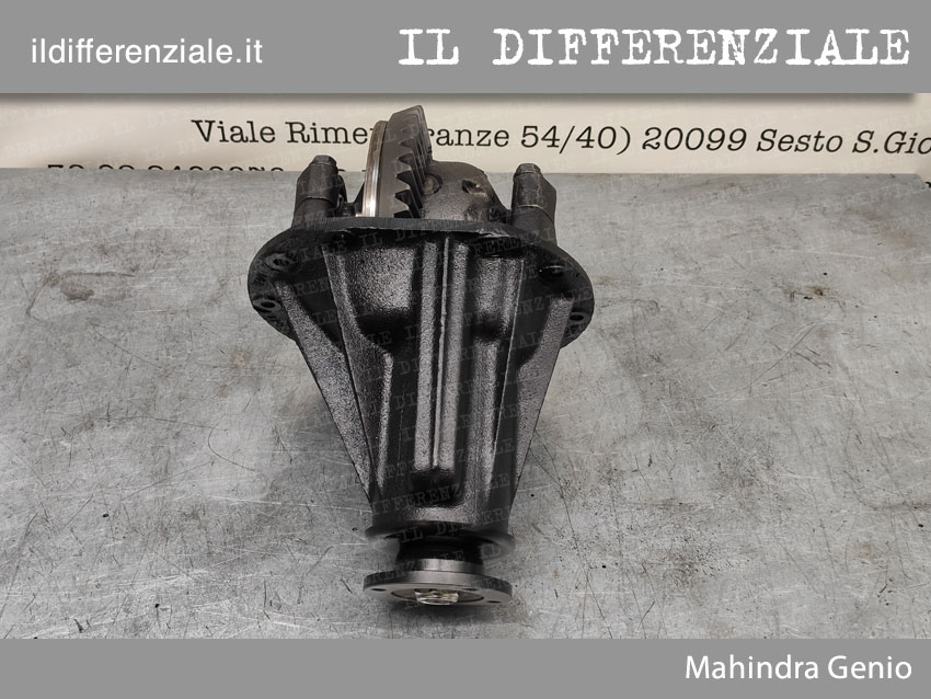 Differenziale Differenziale Mahindra Genio - rigenerazione Differenziale Mahindra Genio